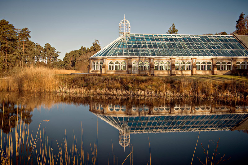 Carnegie Links - Image 4